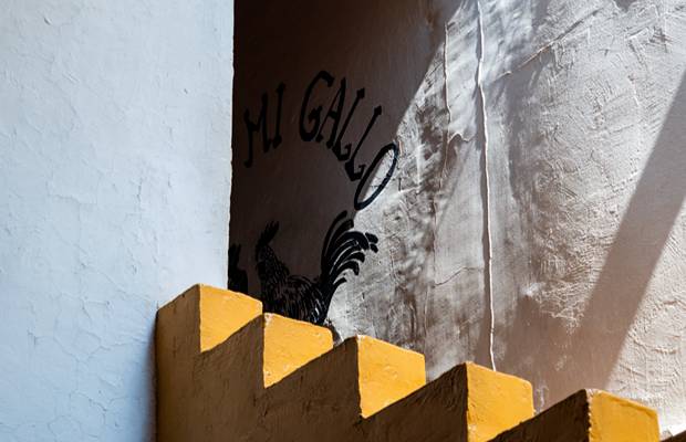 El Gallo Altanero